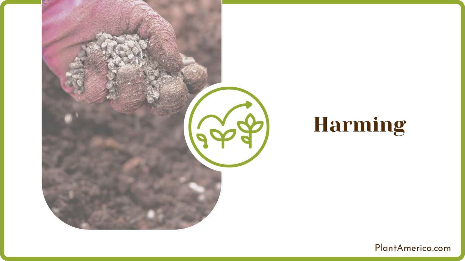 Adding Fertilizer to Soil Plant America