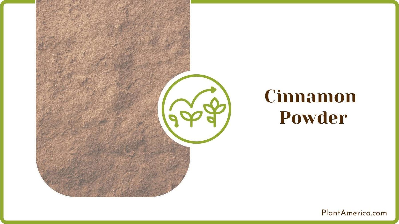 Applying Cinnamon Powder Plant America