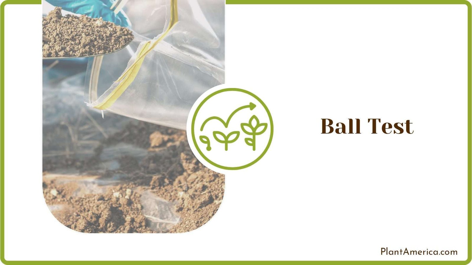 Ball Test Soil Plant America