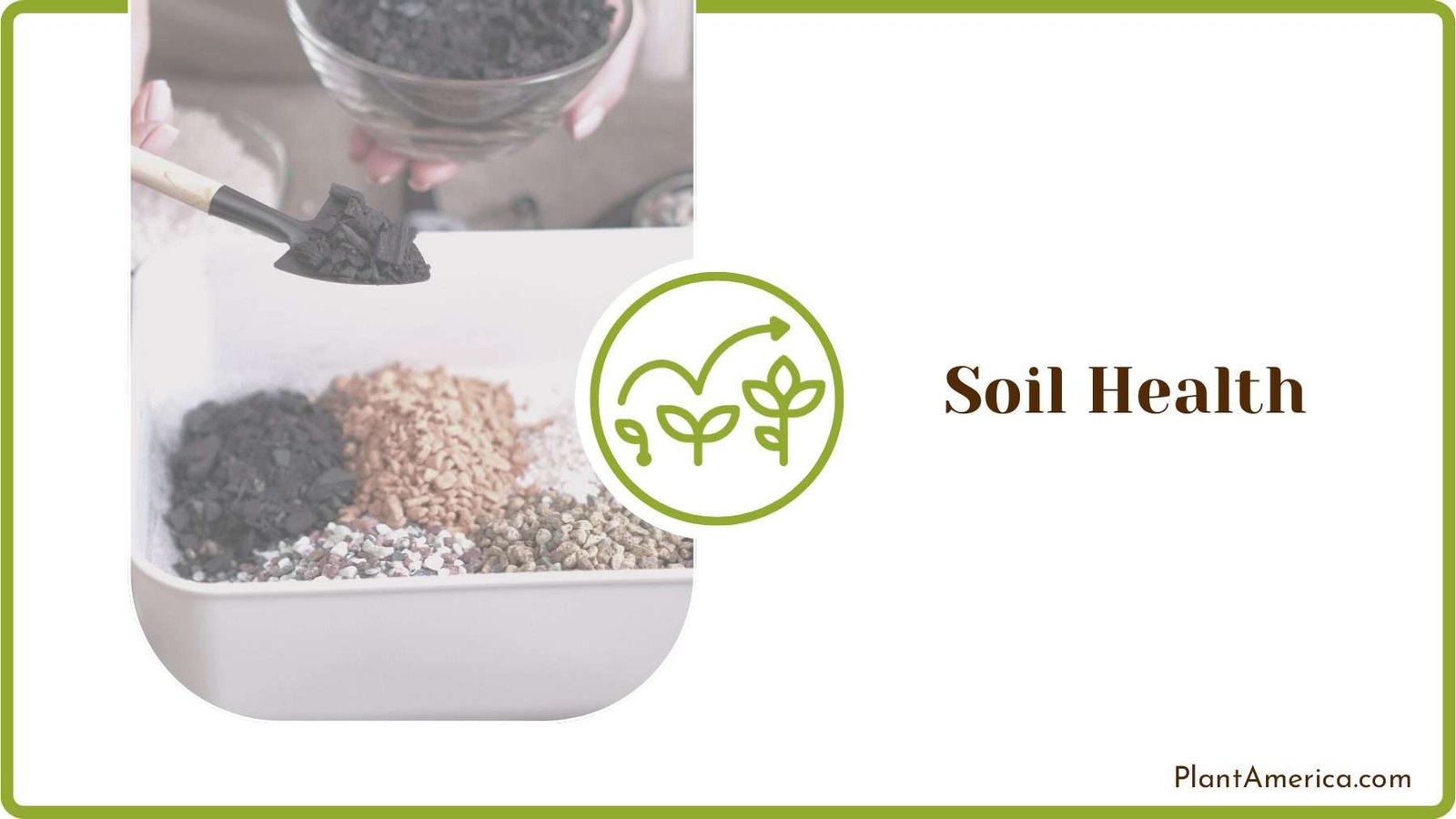 Checking Soil Health Plant America