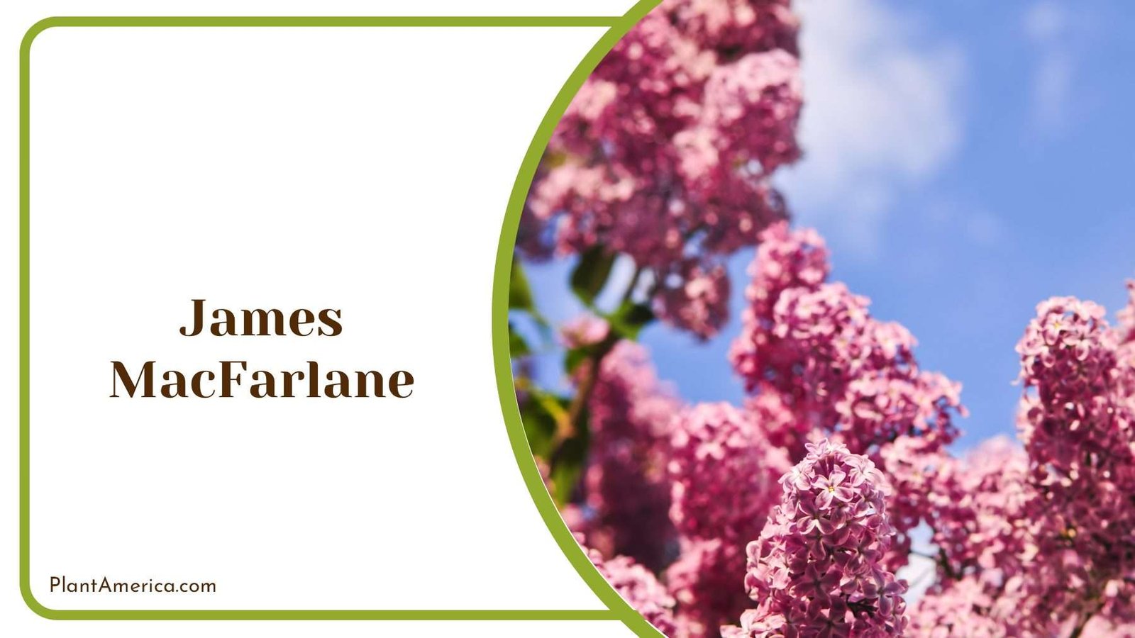 James MacFarlane Flowers Plant America