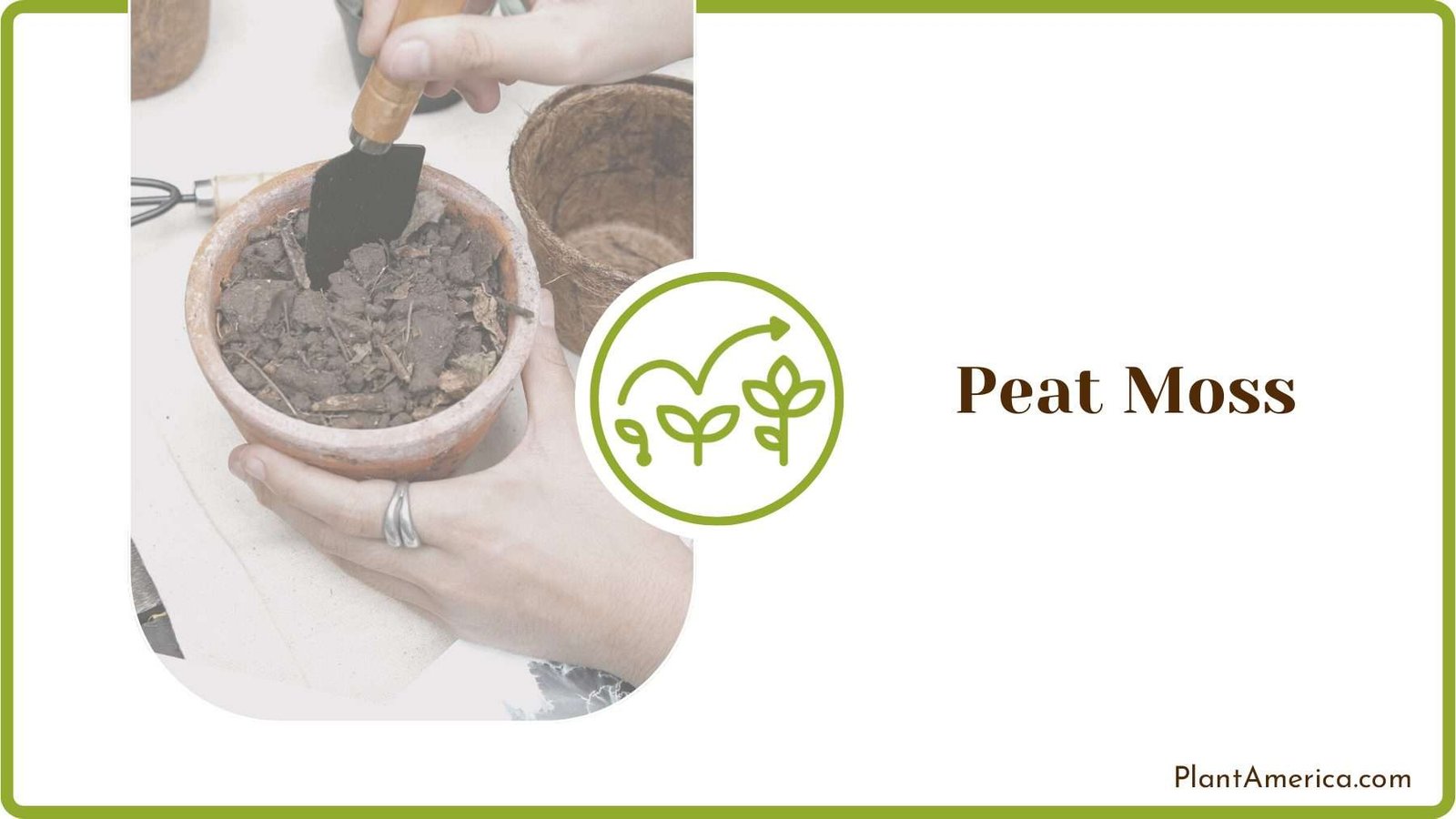 Mixing Peat Moss with Soil Plant America