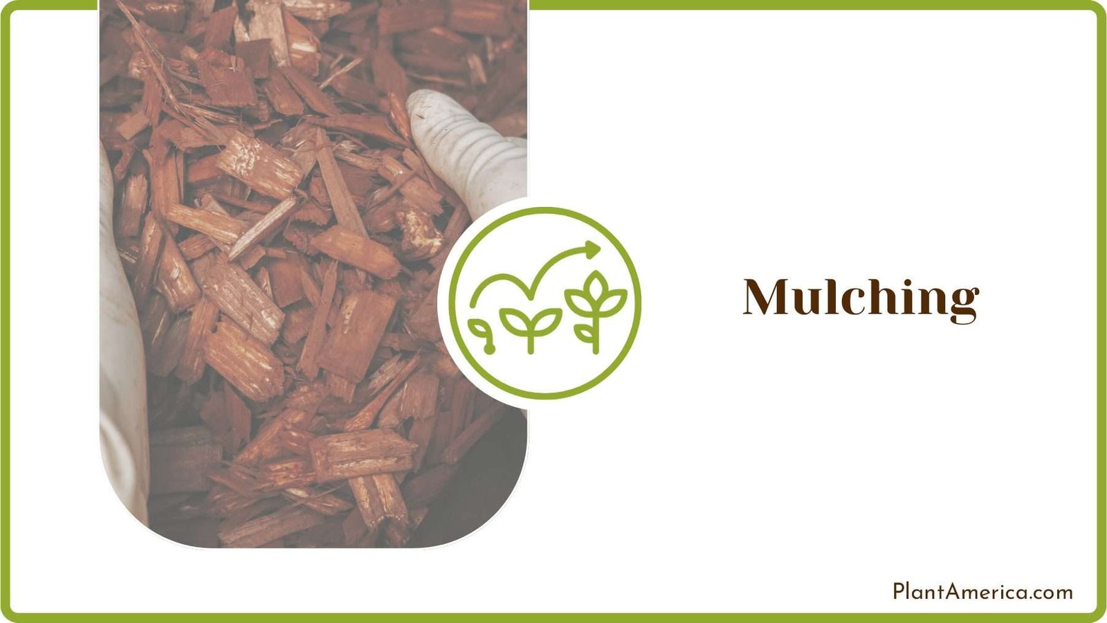 Mulching in the Garden Plant America