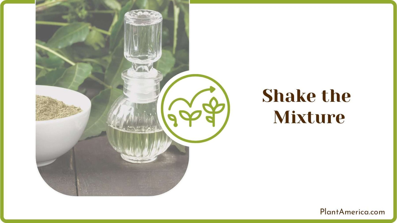 Neem Oil Mixture Plant America