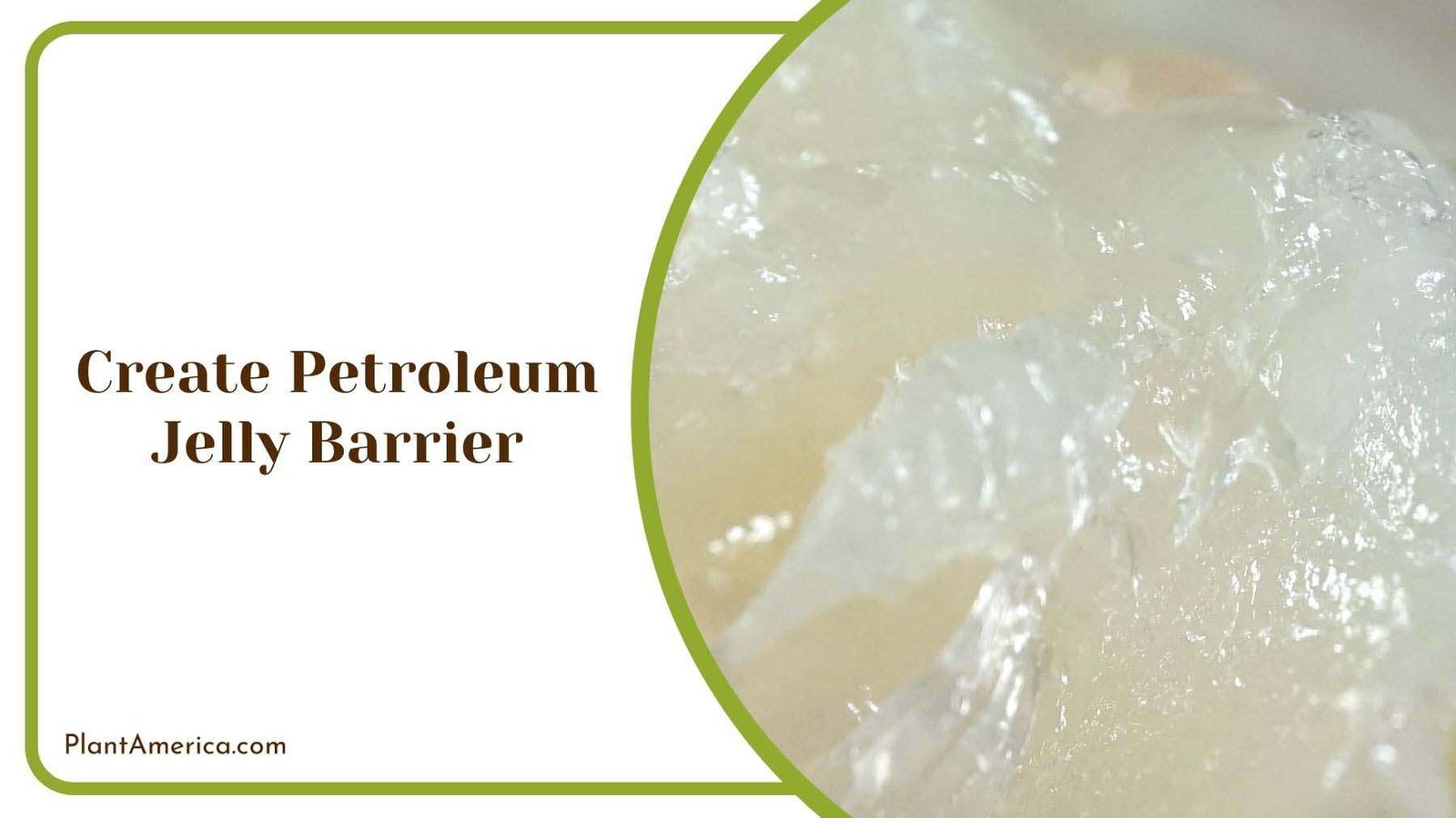 Petroleum Jelly Barrier Plant America