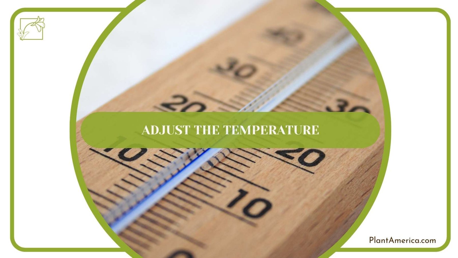 A Wooden Thermometer ~ Plant America