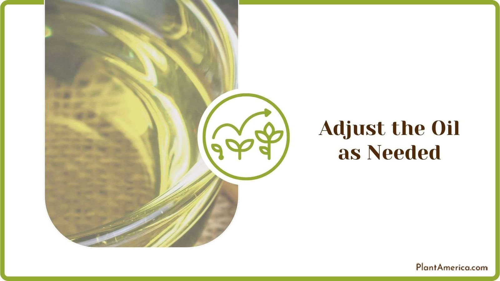 Adjusting Neem Oil as Needed Plant America