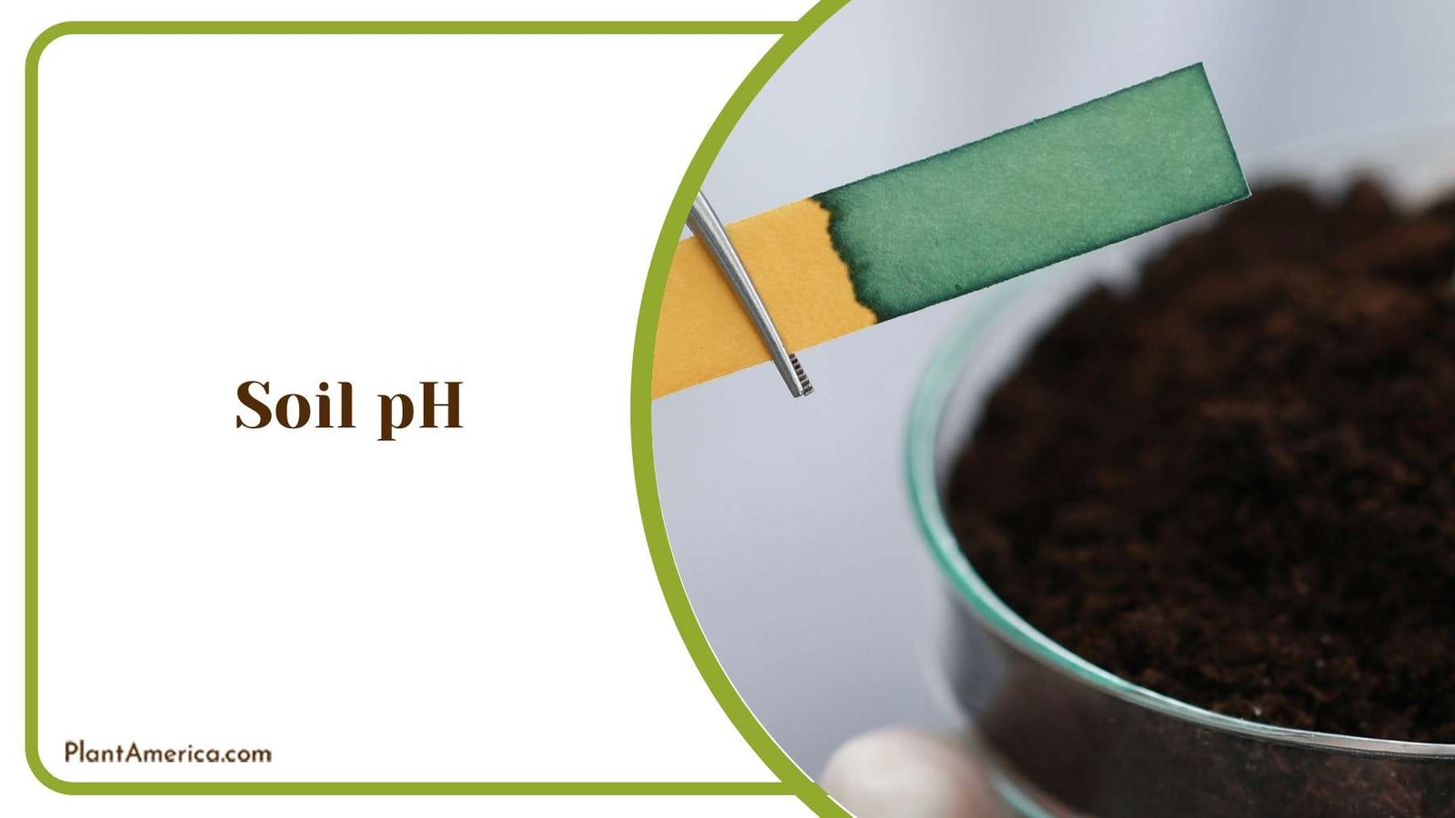 Balancing Soil pH Plant America