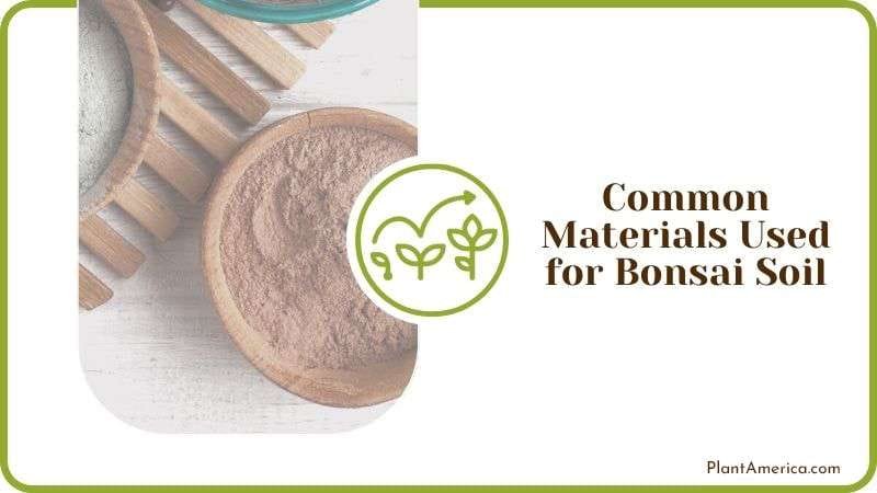 Common Materials Used for Bonsai Soil Plantamerica