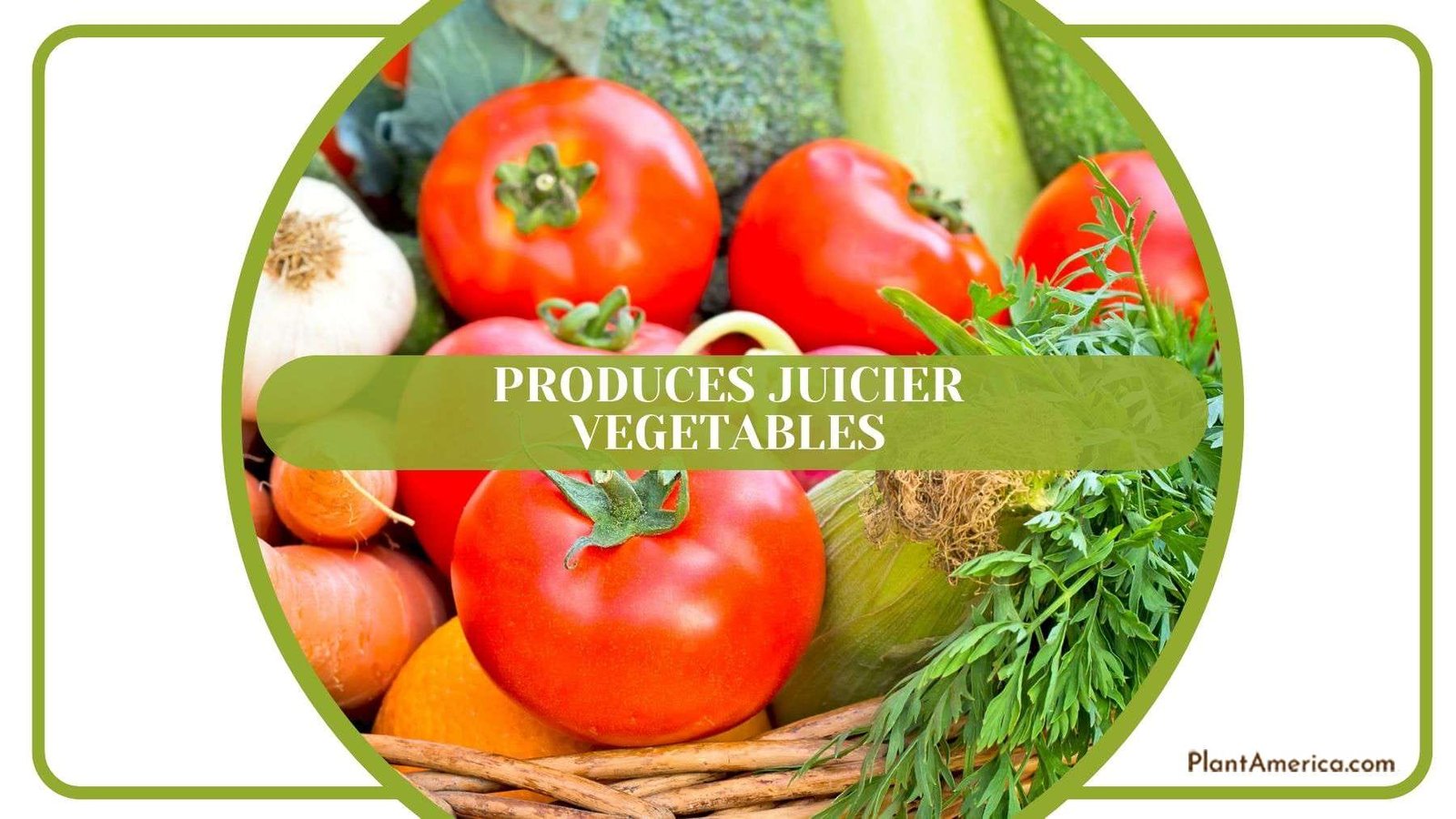 Hair Grows Juicier Vegetables Plant America