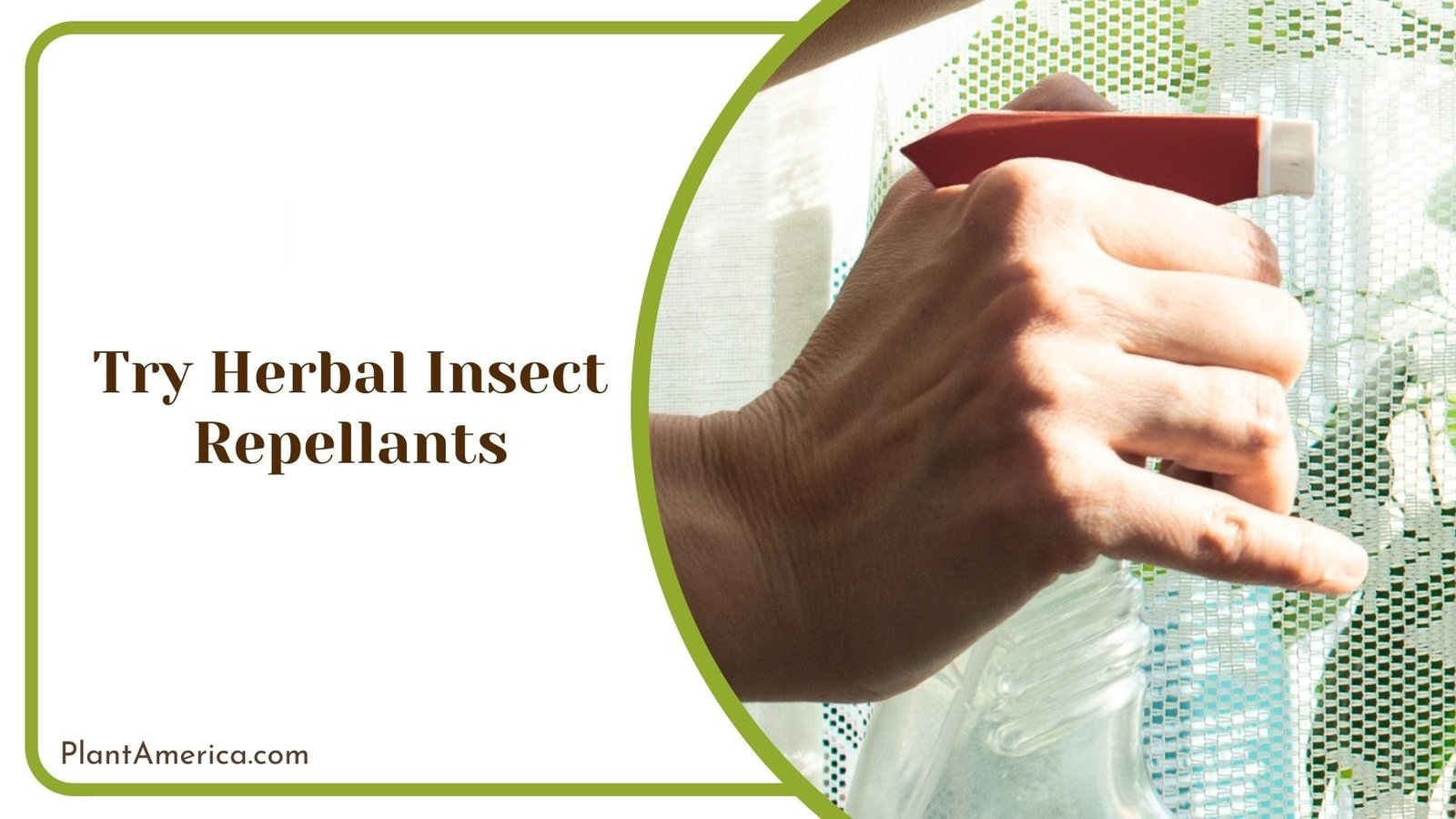 Herbal Insect Repellants ~ Plant America Herbal Insect Repellants ~ Plant America