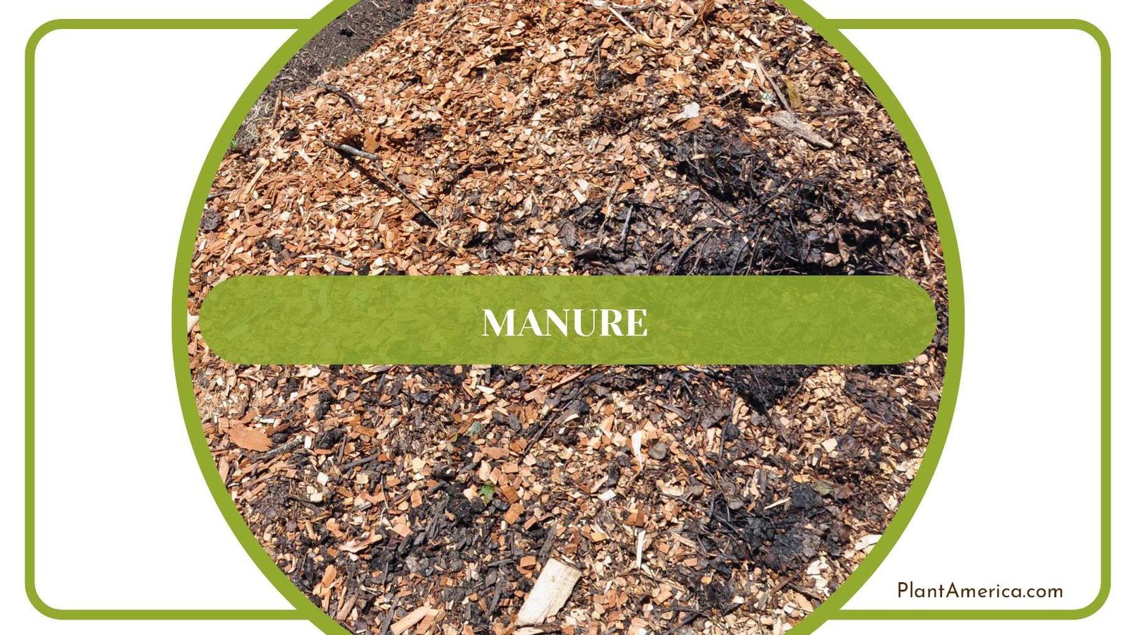 Impacts of Manure Plant America