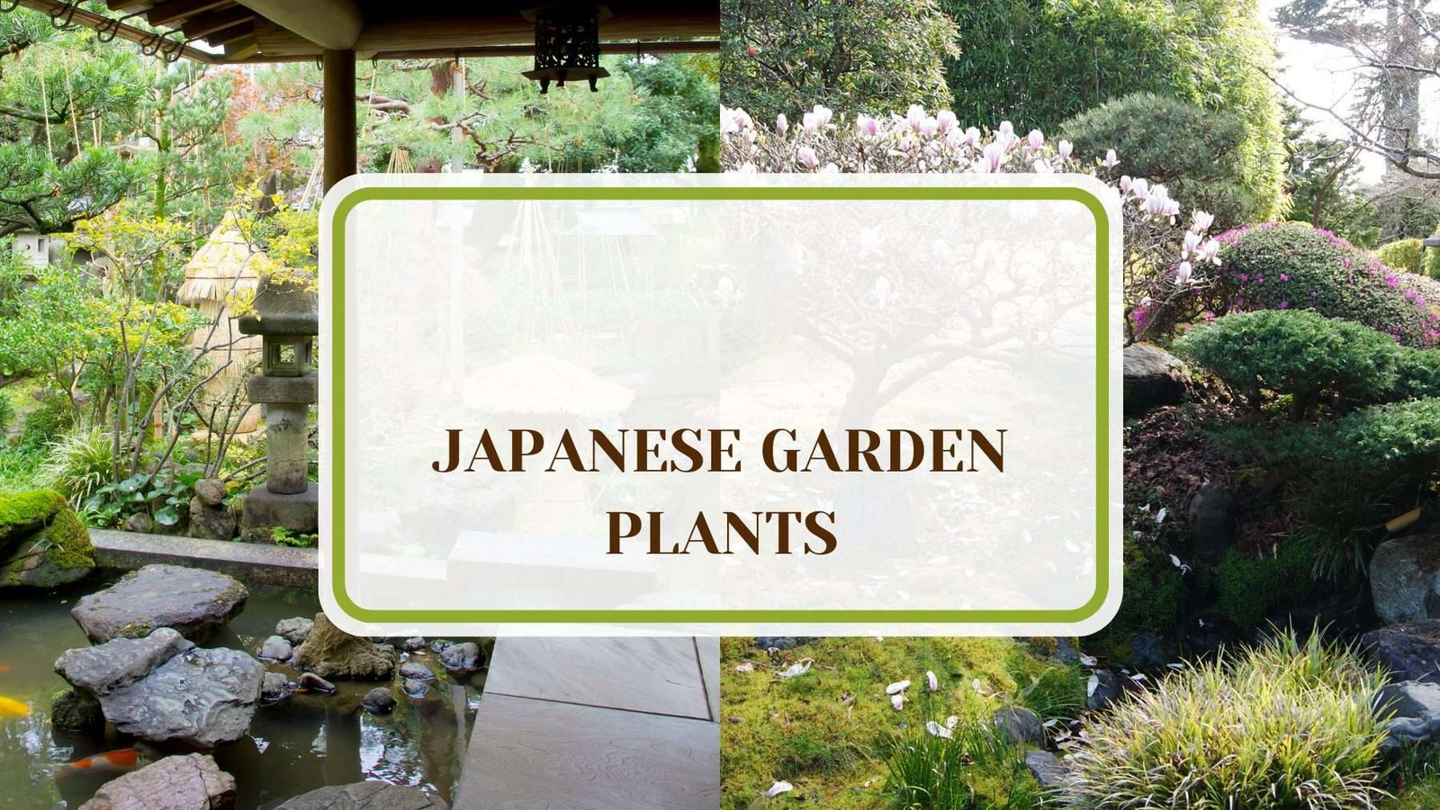 Japanese Garden Design Crafting Beauty Plant America 18 Japanese Garden Plants You’ll Want To Grow Right Now