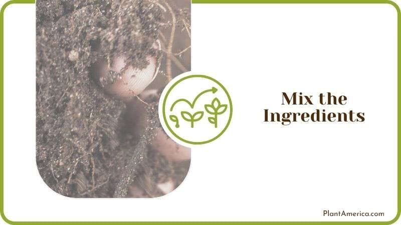 Mixing Bonsai Soil Ingredients Plantamerica