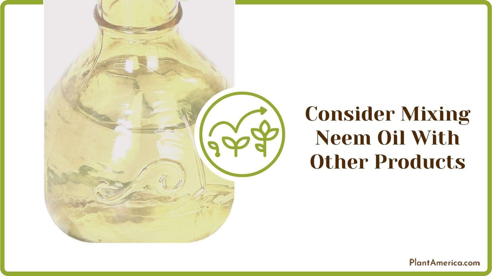 Mixing Neem Oil With Other Products Plant America