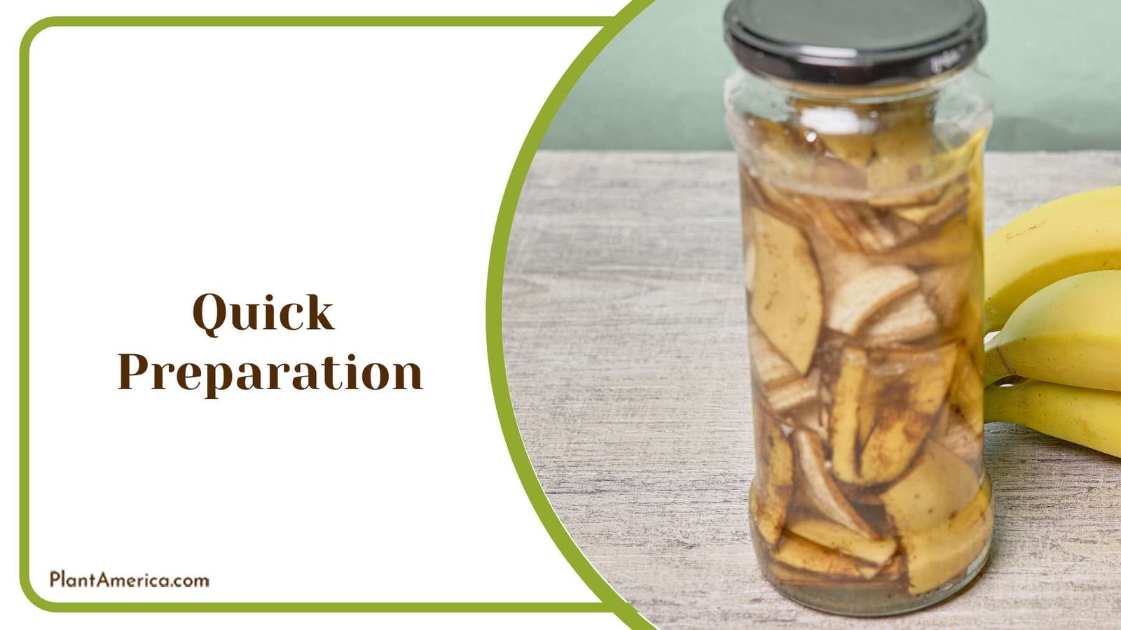 Preparing Banana Peel Water Plant America