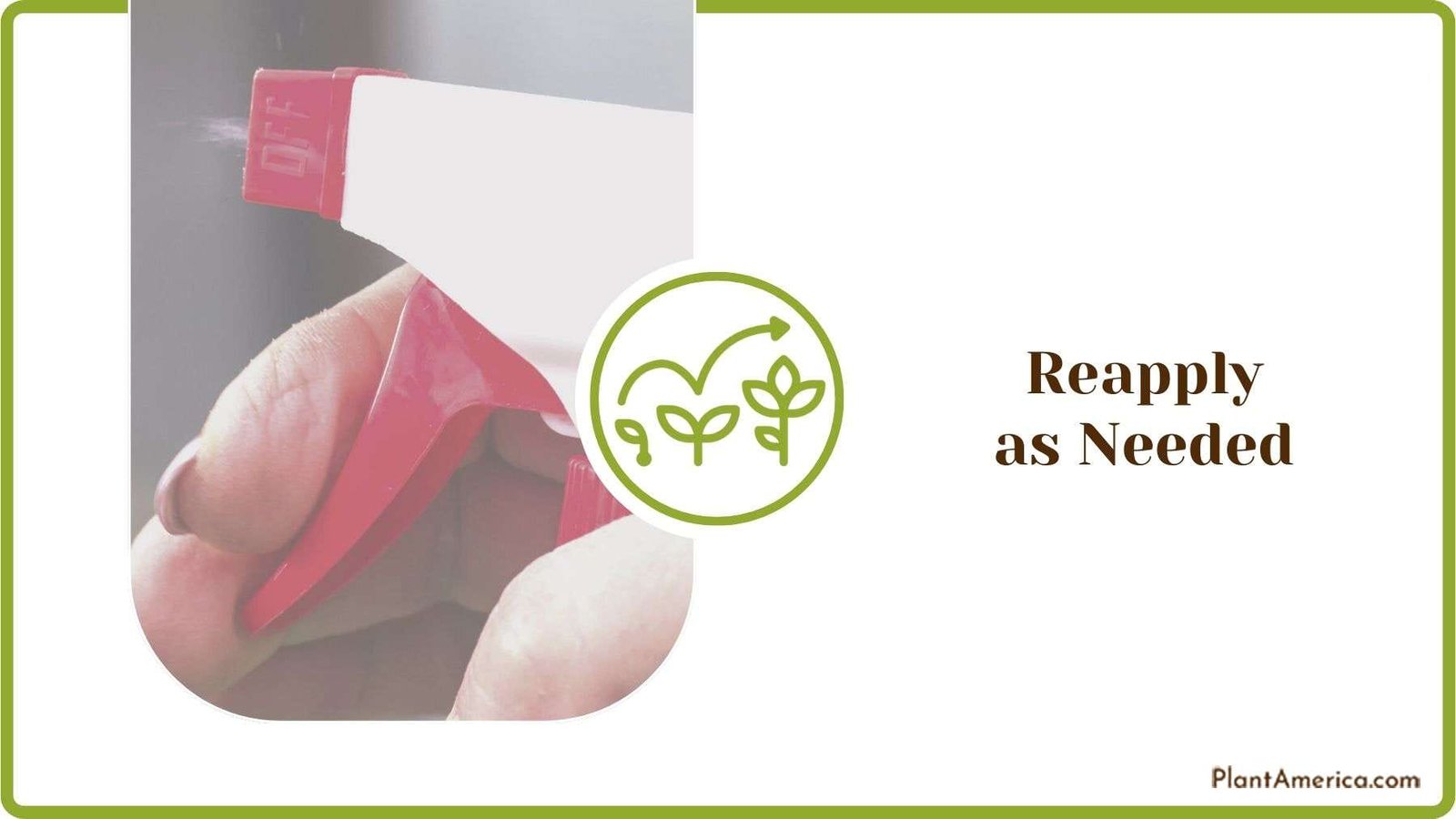 Reapplying as Needed Plant America
