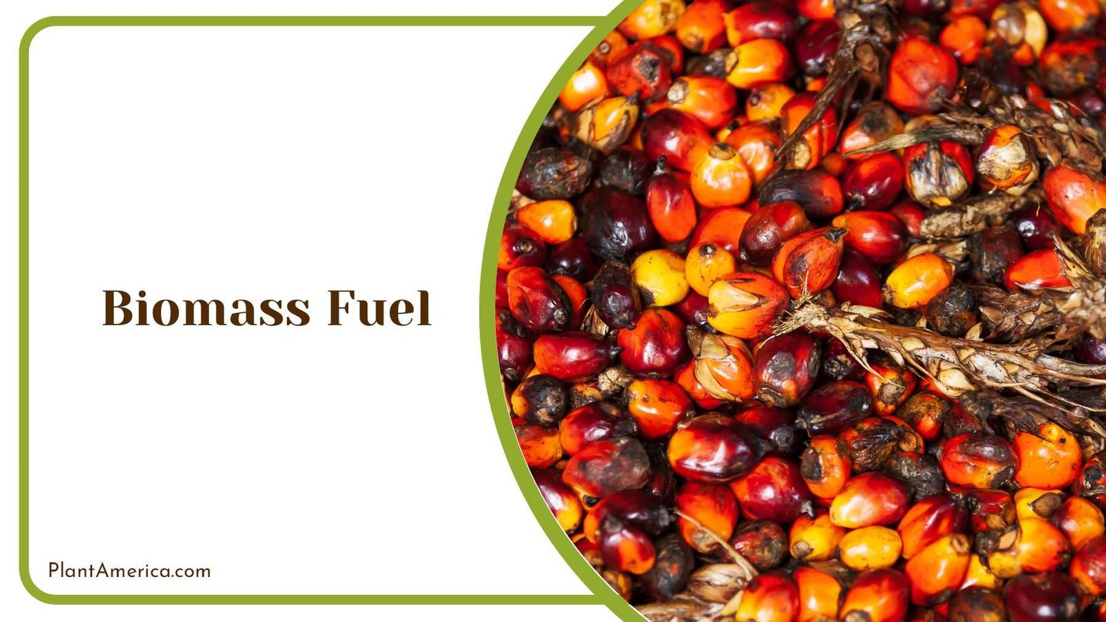 Renewable Biomass Fuel PlantAmerica Renewable Biomass Fuel PlantAmerica