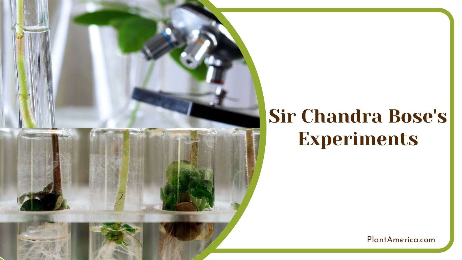 Sir Chandra Bose s Experiments Plant America