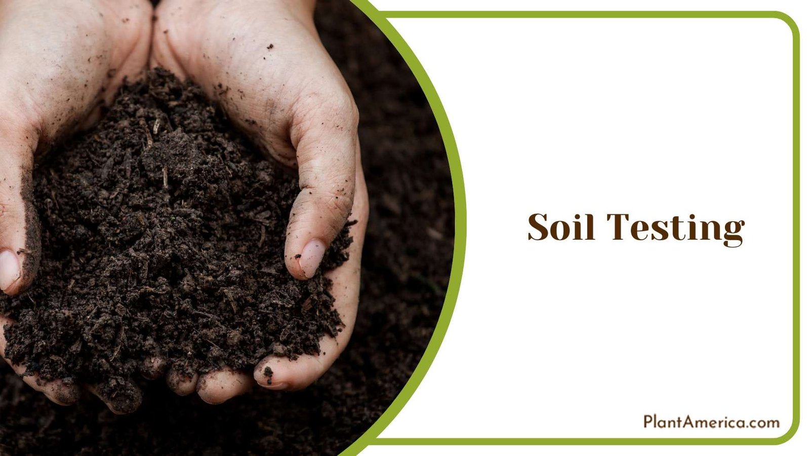 Testing Soil for Plant Gwoth Plant America