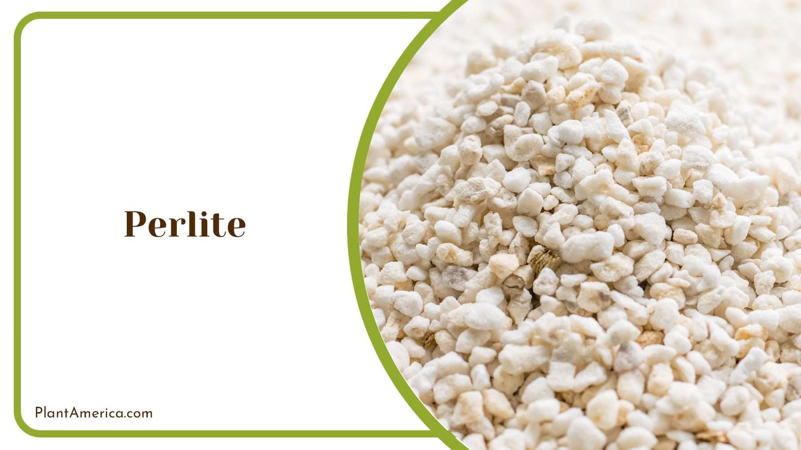 Tiny White Perlite Plantamerica