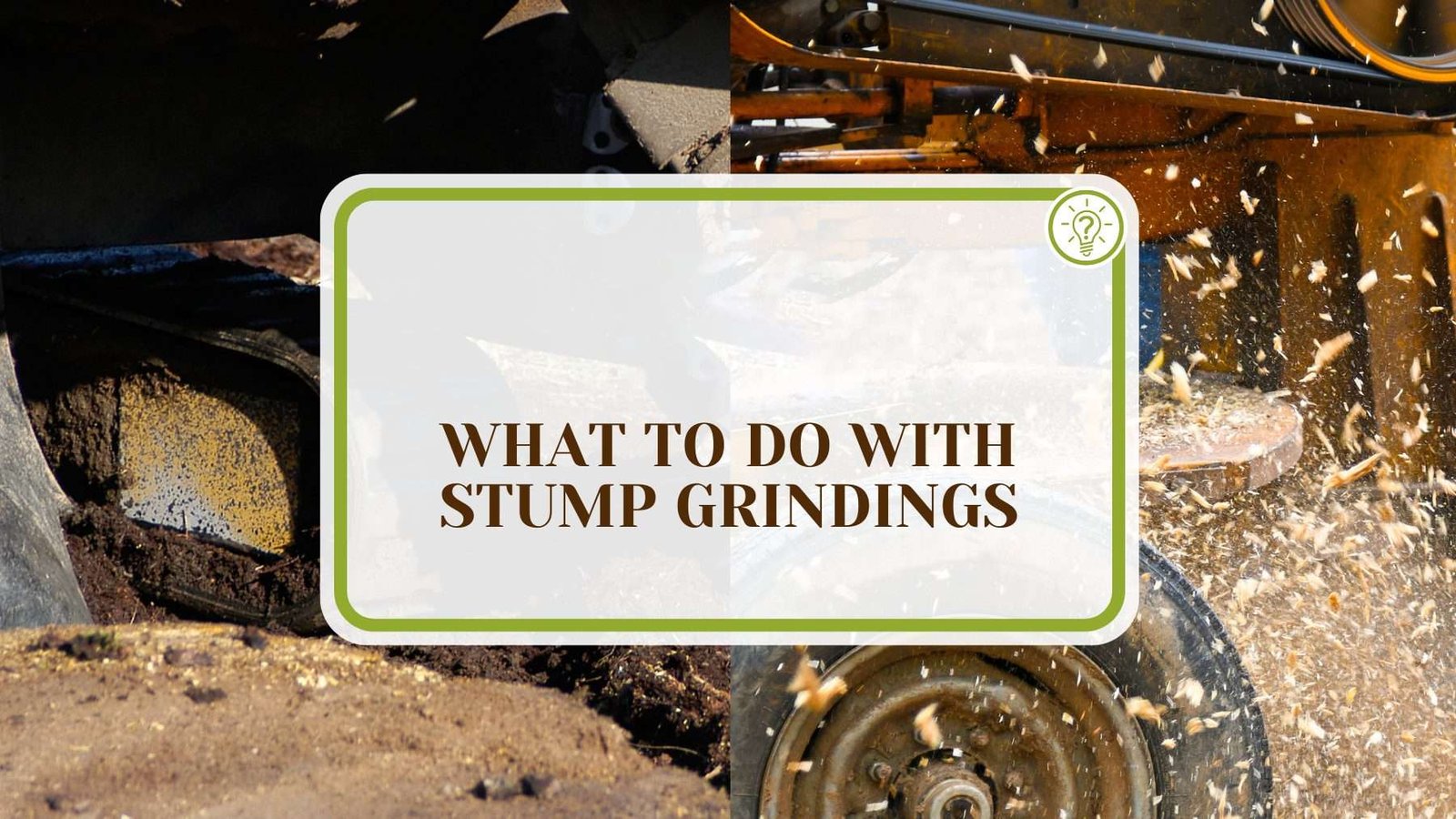 Use of Stump Grindings PlantAmerica What To Do with Stump Grindings: Incredible Ways to Use Them