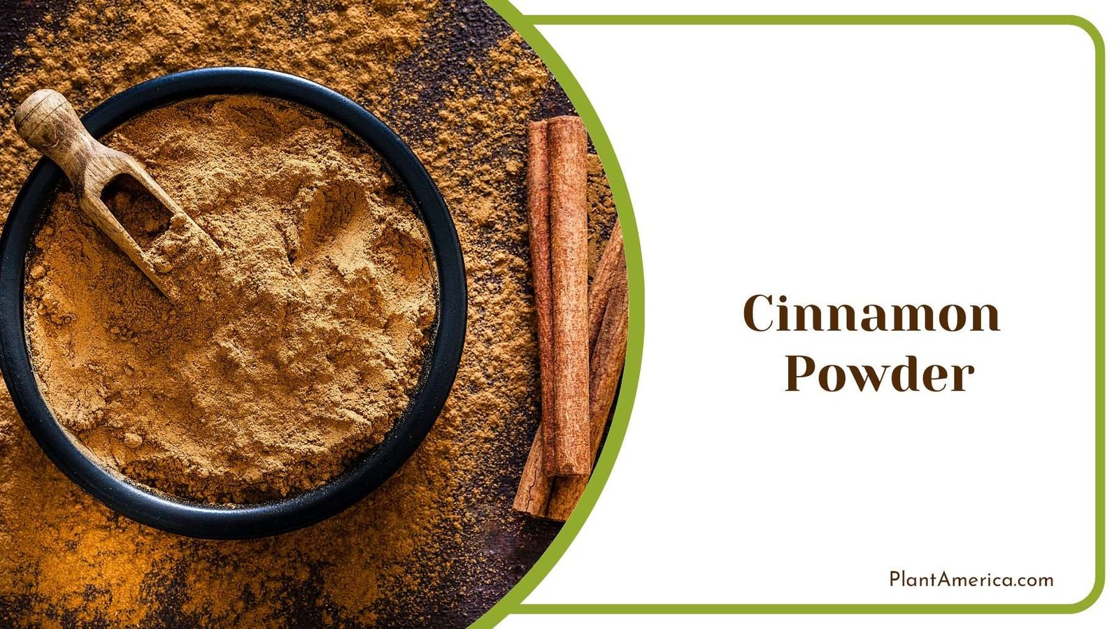 Apply Cinnamon Powder on Plants Plantamerica Apply Cinnamon Powder on Plants Plantamerica