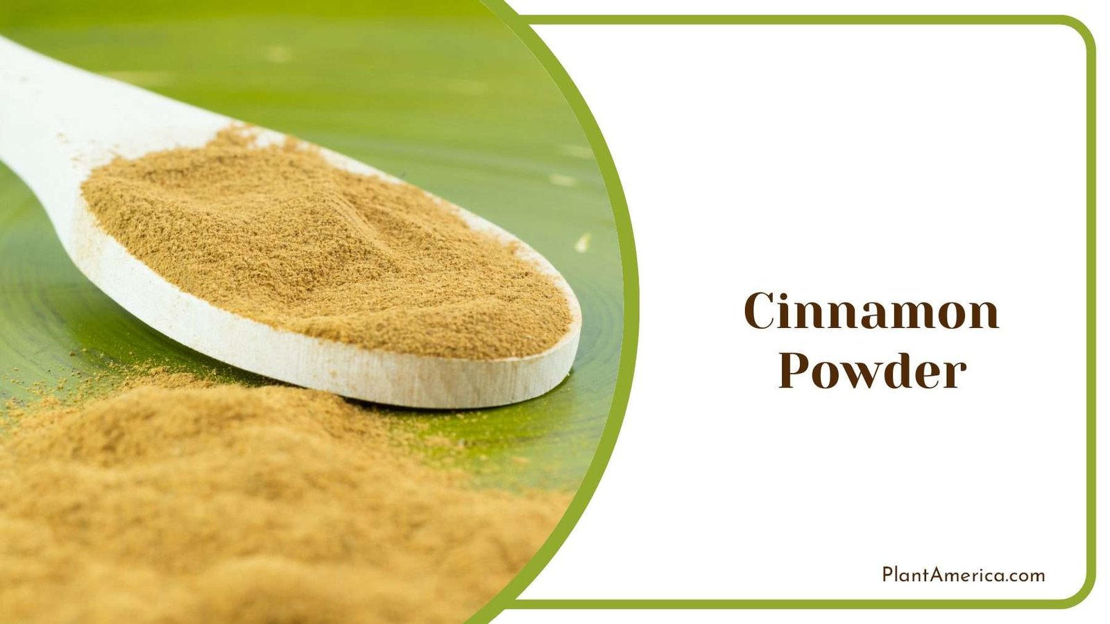 Cinnamon Powder on Plants Plant America