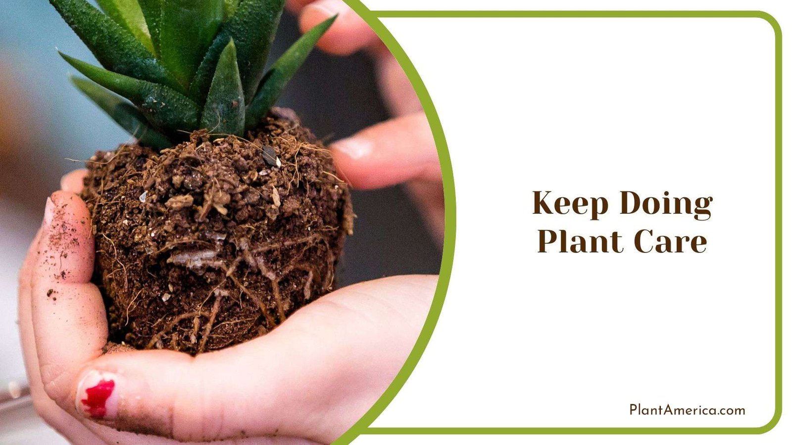 Doing Plant Care Plant America