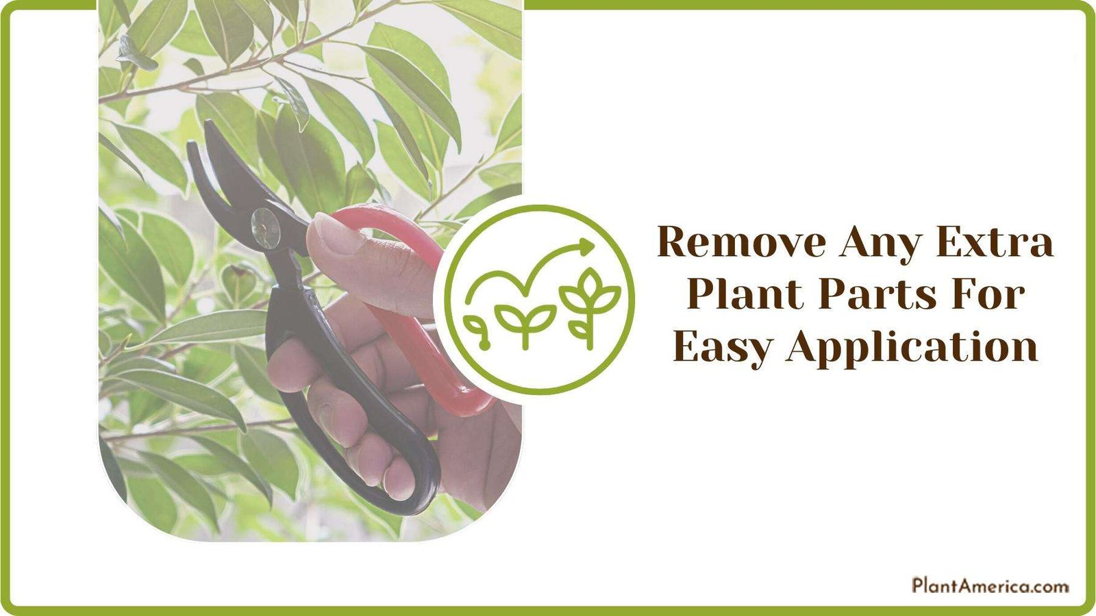 Gardener Trimming Plant With Red and Black Gardening Tool Plant America