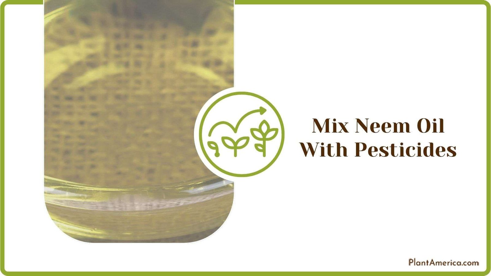 Mixing Neem Oil With Pesticides Plant America
