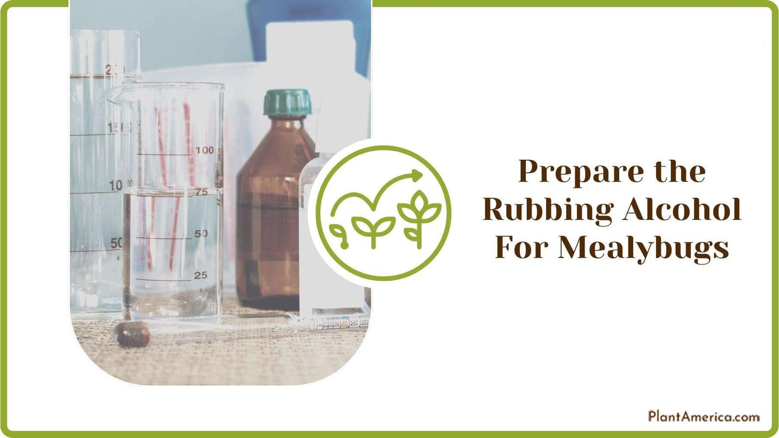 Preparing Rubbing Alcohol With Measuring Glass Plant America