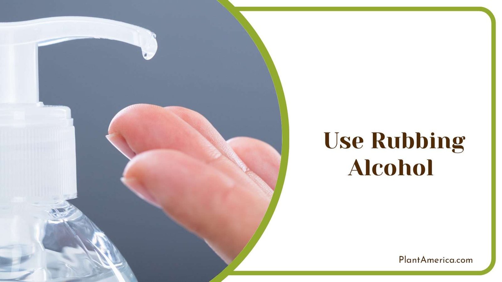 Rubbing Alcohol Solution Plantamerica Rubbing Alcohol Solution Plantamerica