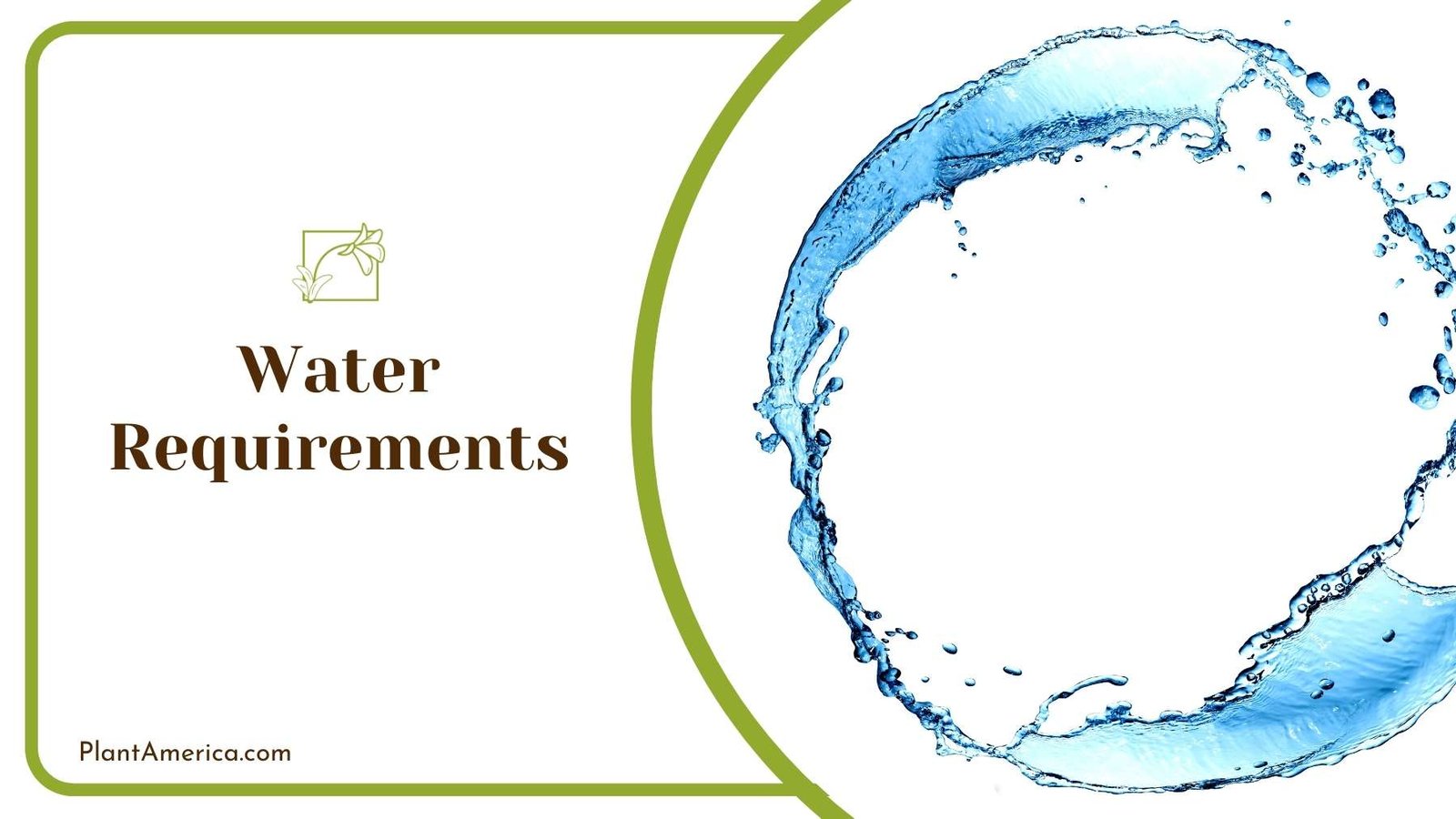 A Circle Of Water ~ Plant America A Circle Of Water ~ Plant America