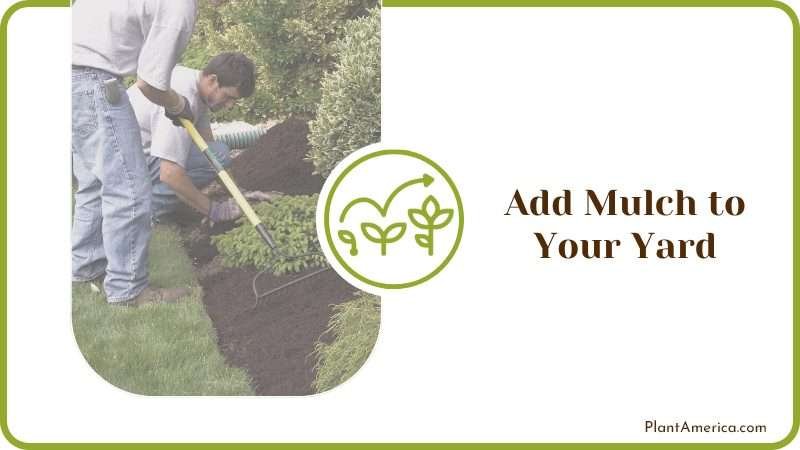 Add Mulch to Your Yard