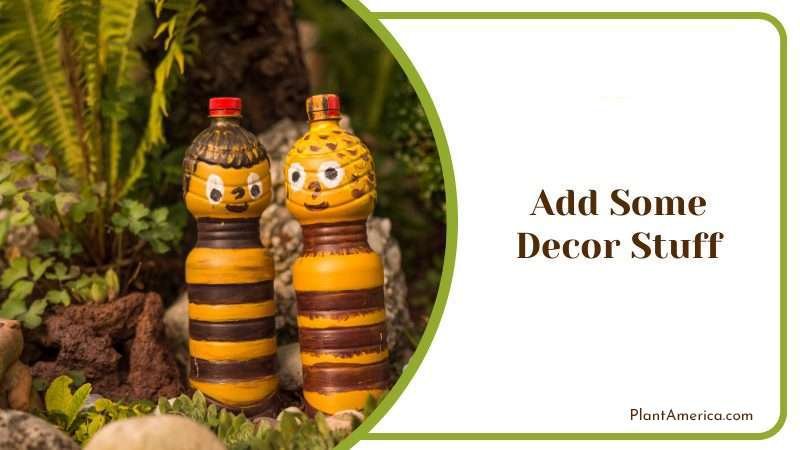 Add Some Decor Stuff Plant America