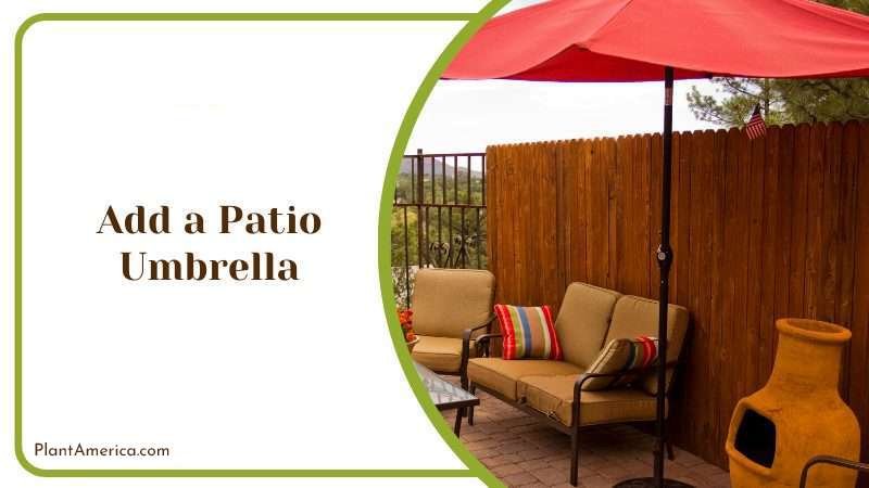 Add a Patio Umbrella Plant America