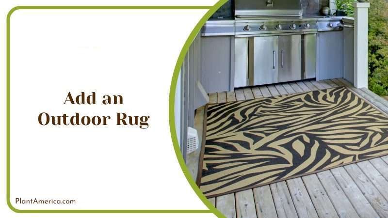 Add an Outdoor Rug Plant America