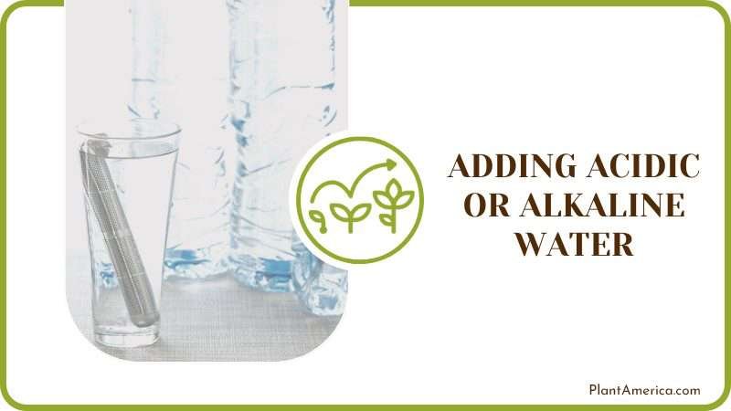 Adding Alkaline Water Plant America