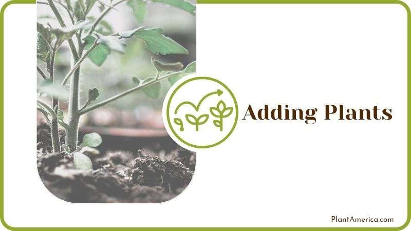 Adding Plants Plant America Adding Plants Plant America