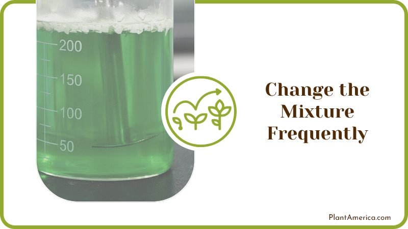 Adding a Fresh Mixture Once Every Couple of Weeks Plant America