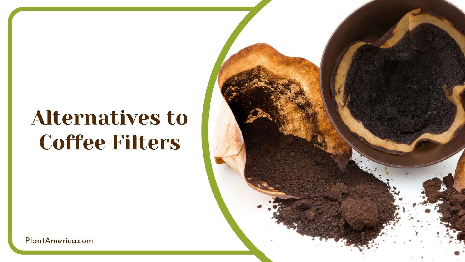 Alternatives to Coffee Filters Plant America
