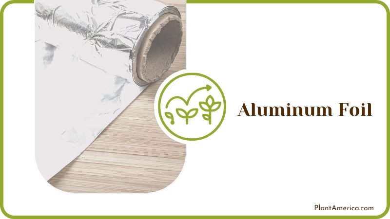 Aluminum Foil Wrap Tree Trunks Plant America Aluminum Foil Wrap Tree Trunks Plant America