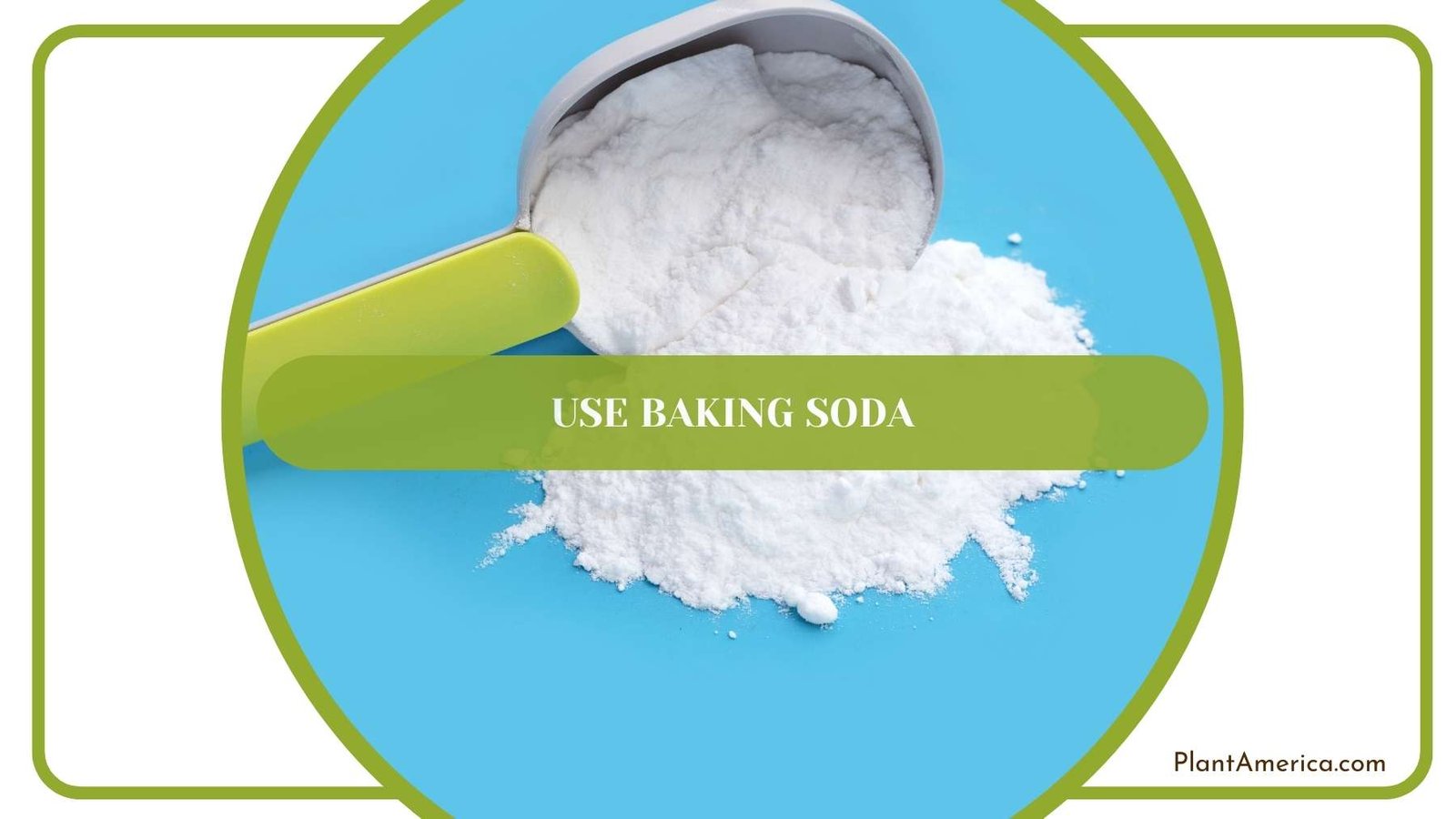 Baking Soda On a Blue Surface Plant America Baking Soda On a Blue Surface Plant America