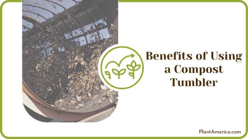 Benefits of Using a Compost Tumbler Plant America Benefits of Using a Compost Tumbler Plant America