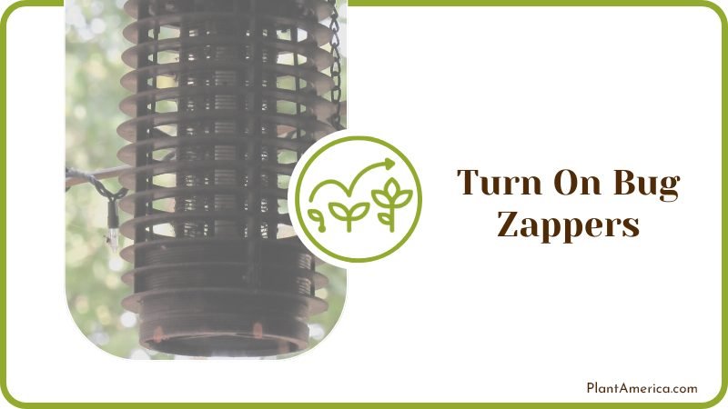 Bug zappers Plant America Bug zappers Plant America