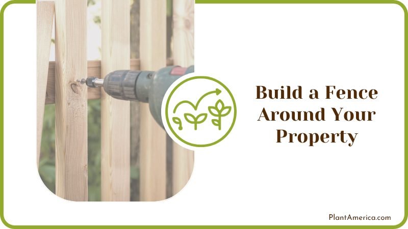 Build a Fence Around Your Property Plant America
