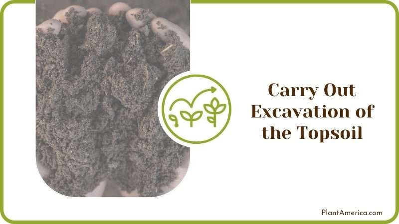 Carry Out Excavation of the Topsoil Plant America