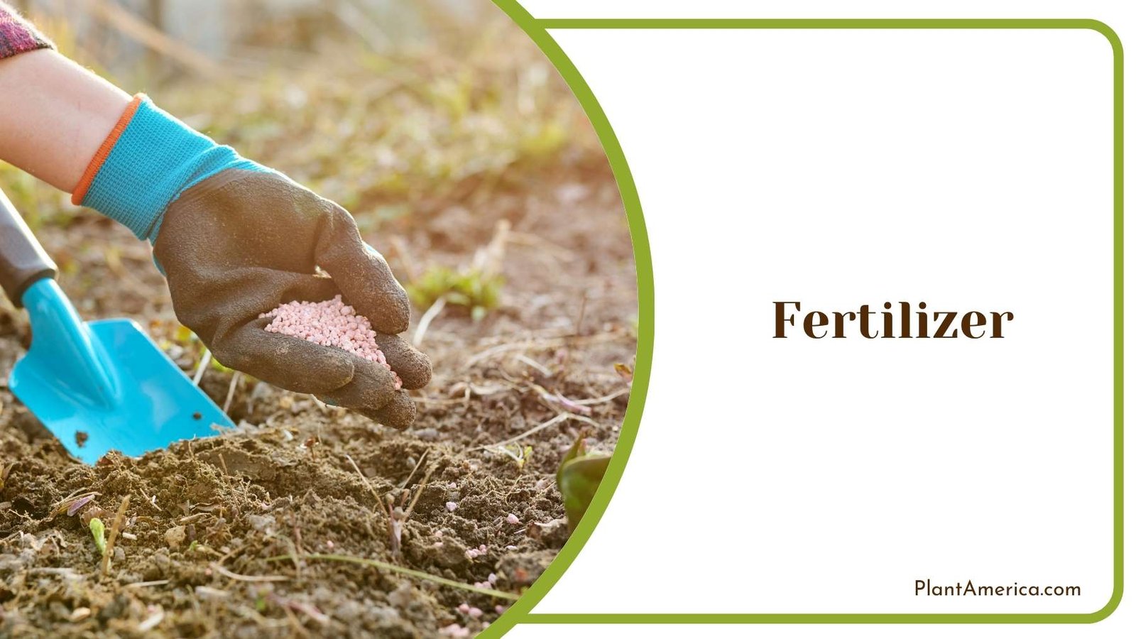 Chemical Fertilizer in Hands Of a Farmer Plant America
