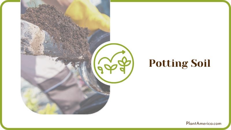 Choosing the Right Potting Soil PlantAmerica Choosing the Right Potting Soil PlantAmerica